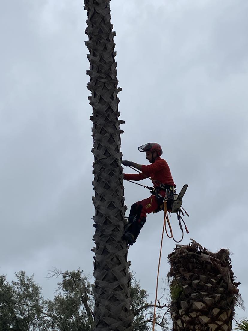 426284359_122103651068266077_6059199027789139808_n